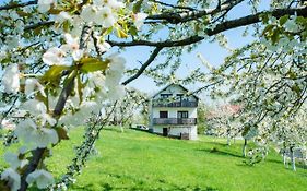 House Spehar